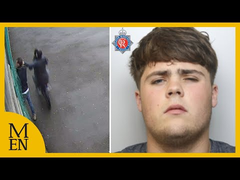 Thumbnail of the video showing phone theft incident